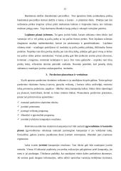 Pardavimų skatinimo tobulinimas 12 puslapis