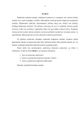 Pardavimų skatinimo tobulinimas 3 puslapis