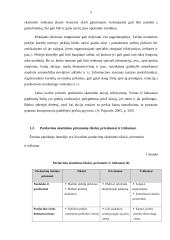 Pardavimų skatinimo tobulinimas 5 puslapis