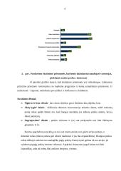 Pardavimų skatinimo tobulinimas 9 puslapis