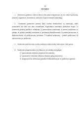 Pardavimų vadyba 16 puslapis