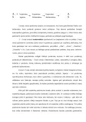 Pardavimų vadyba: reklama, prekių paskirstymas 7 puslapis