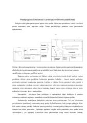 Parduotuvės įrengimo ir prekių asortimento pateikimo vertinimas: UAB "Kaginta" 8 puslapis