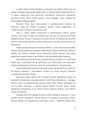 Partinės sistemos ir jų tipai 10 puslapis