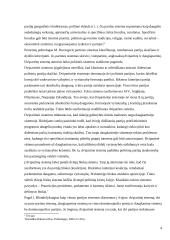 Partinės sistemos ir jų raida 4 puslapis