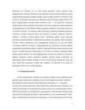 Partinės sistemos, politinių partijų samprata 7 puslapis