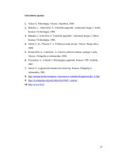 Partinės sistemos, politinių partijų samprata 10 puslapis