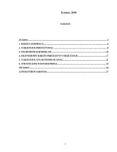 Pasaulinė ekonominė krizė ir šalies (Vokietijos) atgaivinimo planas 2 puslapis