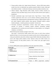 Pasaulinė ekonominė krizė ir šalies (Vokietijos) atgaivinimo planas 6 puslapis