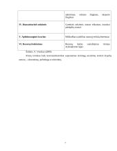 Pasaulinė ekonominė krizė ir šalies (Vokietijos) atgaivinimo planas 7 puslapis