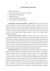 Pasaulinė prekybos organizacija (PPO) 12 puslapis