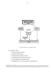 Pasaulinė prekybos organizacija (PPO) 14 puslapis