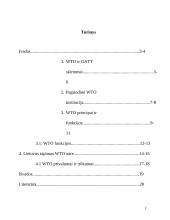 Pasaulinė prekybos organizacija WTO 2 puslapis