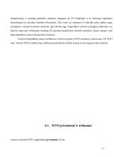 Pasaulinė prekybos organizacija WTO 17 puslapis