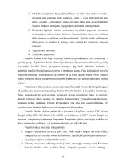 Pasaulio bankas: galimybės verslui ir informacijos šaltiniai 10 puslapis