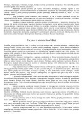 Pasaulio politinės problemos 4 puslapis