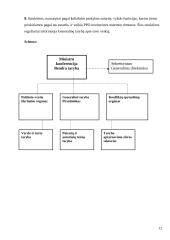 Pasaulio Prekybos Organizacija (PPO) 12 puslapis