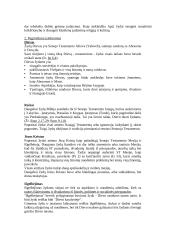 Pagrindinės pasaulio religijos 3 puslapis