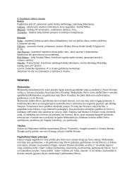 Labiausiai paplitusios pasaulio religijos 6 puslapis