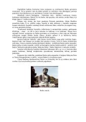 Pasaulio religijos nuo senovės iki Renesanso 9 puslapis