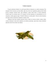 Pasaulio transportas 8 puslapis