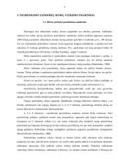 Pasirinkimo sandorių rinka 9 puslapis