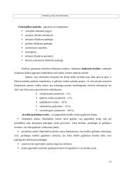 Paskolų suteikimo ir grąžinimo sąlygos ir principai 12 puslapis