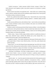 Paskolų suteikimo ir grąžinimo sąlygos ir principai 3 puslapis