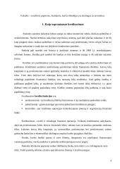 Paskolų suteikimo ir grąžinimo sąlygos ir principai 4 puslapis