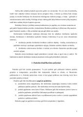 Paskolų suteikimo ir grąžinimo sąlygos ir principai 5 puslapis