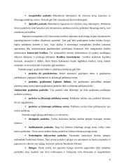 Paskolų suteikimo ir grąžinimo sąlygos ir principai 6 puslapis