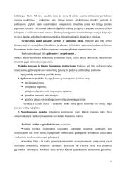 Paskolų suteikimo ir grąžinimo sąlygos ir principai 7 puslapis