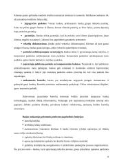 Paskolų suteikimo ir grąžinimo sąlygos ir principai 8 puslapis