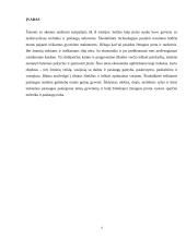 Paslaugos rinka 4 puslapis