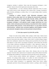 Paslaugų ekonominis vertinimas: kaimo turizmo sodyba "Karpynė" 10 puslapis