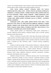 Paslaugų ekonominis vertinimas: kaimo turizmo sodyba "Karpynė" 11 puslapis