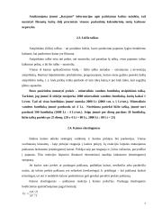 Paslaugų ekonominis vertinimas: kaimo turizmo sodyba "Karpynė" 6 puslapis