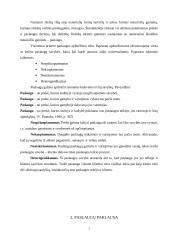 Paslaugų paklausa ir pasiūla 2 puslapis