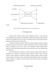 Paslaugų paklausa ir pasiūla 10 puslapis
