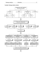 Paslaugų vadybos referatas 20 puslapis