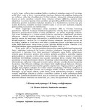 Patentinės klasifikacijos ir nesąžiningos konkurencijos draudimas 9 puslapis