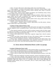 Patentinės klasifikacijos ir nesąžiningos konkurencijos draudimas 10 puslapis