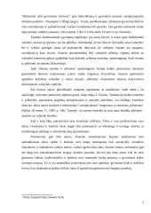 Patriotizmo įvertinimas 5 puslapis