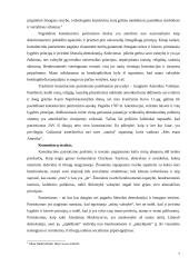 Patriotizmo įvertinimas 7 puslapis