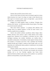 Pažinimas filosofijoje 2 puslapis