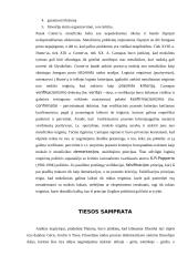 Esminiai filosofiniai klausimai 7 puslapis