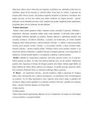 Pažinimo problema filosofijoje 6 puslapis