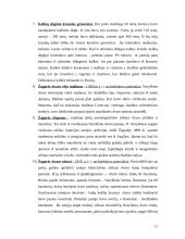 Pažintinės kelionės į Žagarę projektinis pasiūlymas 10 puslapis