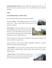 Pažintinės kelionės organizavimas 16 puslapis