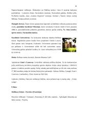 Pažintinės kelionės organizavimas 18 puslapis